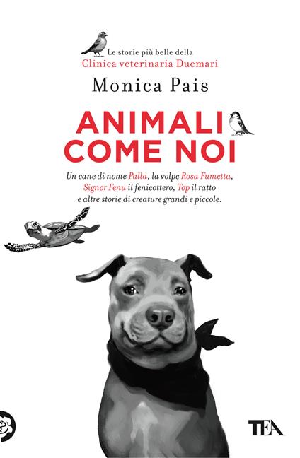 Animali come noi - Monica Pais - copertina