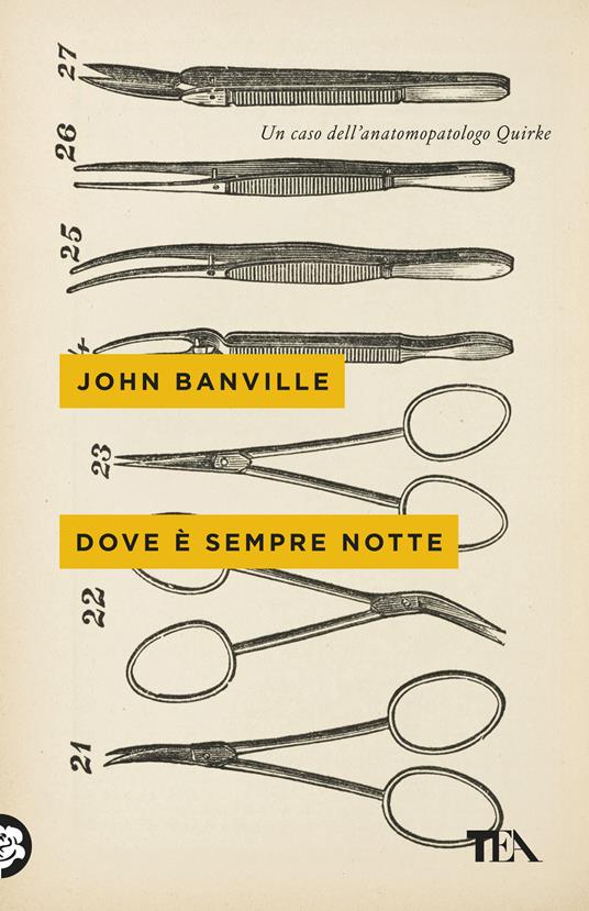 Dove è sempre notte - John Banville - copertina