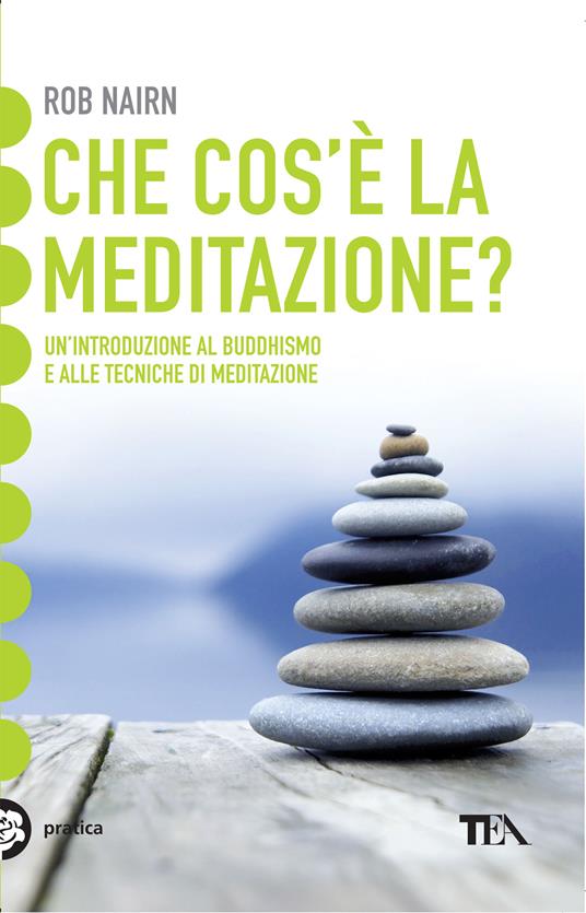 Che cos'è la meditazione? Introduzione al buddhismo e alle tecniche di meditazione - Rob Nairn,Diana Petech - ebook