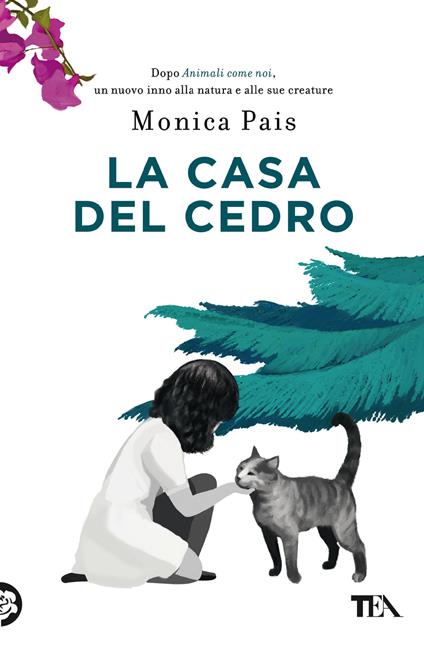 La casa del cedro - Monica Pais - copertina