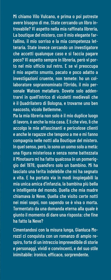 Che fine ha fatto la Neve? - Gianluca Morozzi - 2