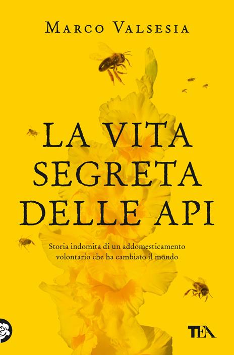 La vita segreta delle api - Marco Valsesia - copertina