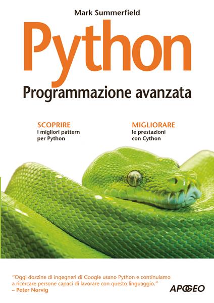 Python. Programmazione avanzata - Mark Summerfield,G. Panico,Giulio Taiana - ebook