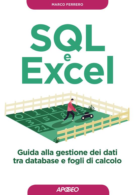 SQL e Excel. Guida alla gestione dei dati tra database e fogli di calcolo - Marco Ferrero - ebook