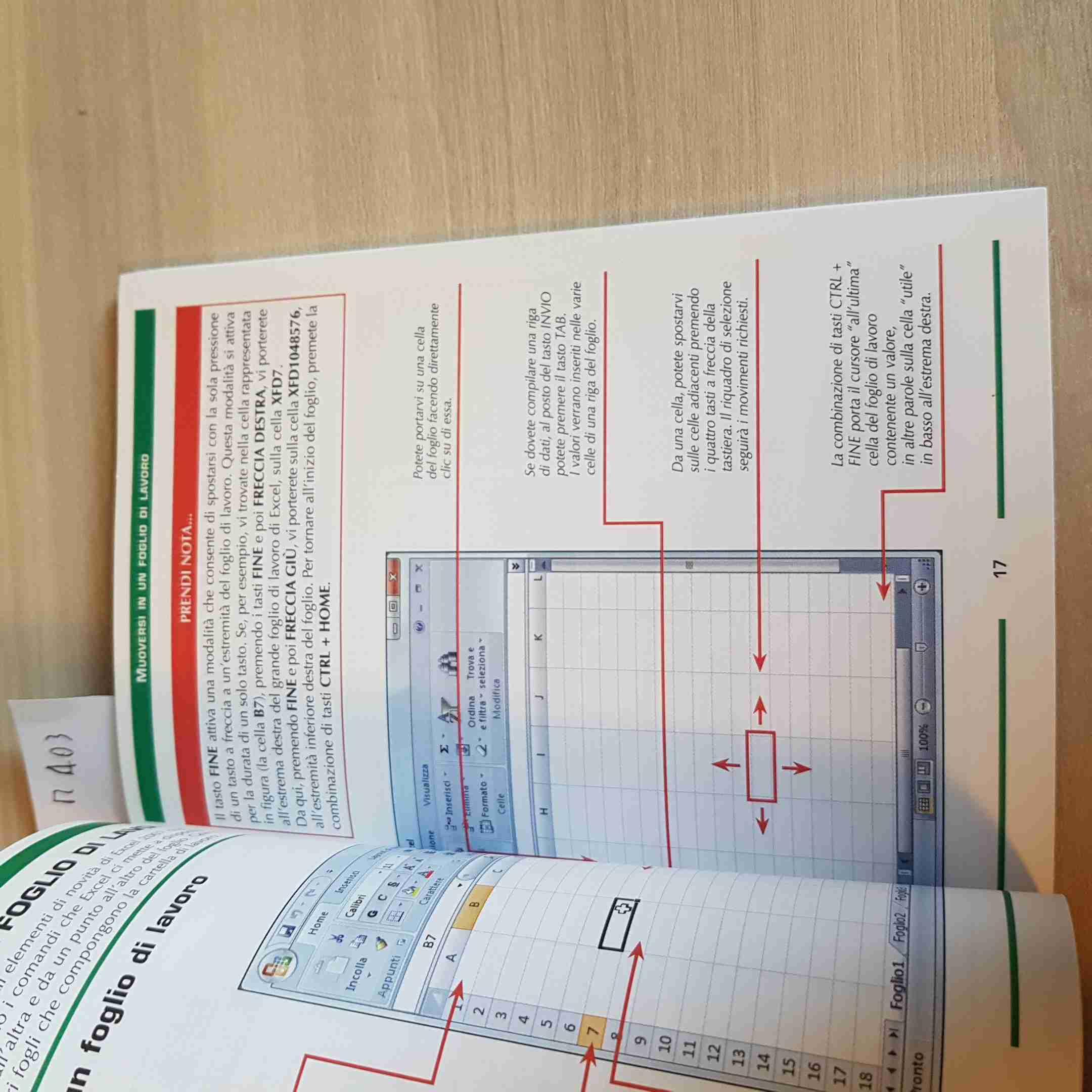 Calcoli e grafici con Excel 2007