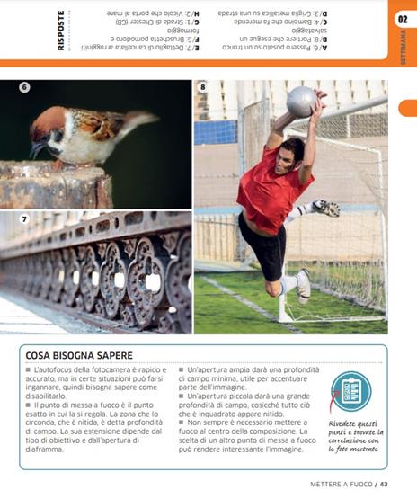 Fotografia digitale. Corso completo. Migliora i tuoi scatti in 20 settimane - David Taylor - 4