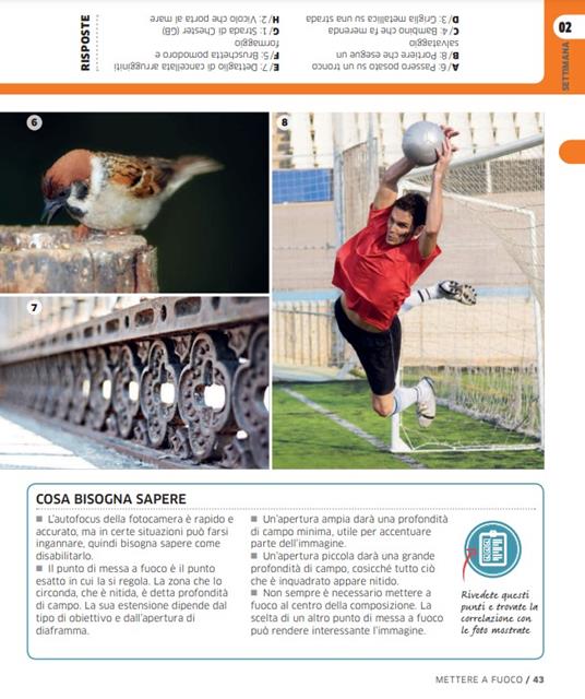 Fotografia digitale. Corso completo. Migliora i tuoi scatti in 20 settimane - David Taylor - 4