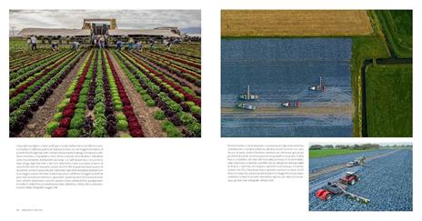 Nutrire il pianeta. Viaggio fotografico nel cibo del mondo - George Steinmetz - 3