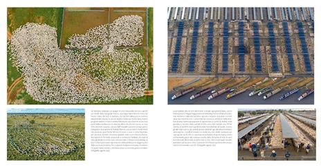 Nutrire il pianeta. Viaggio fotografico nel cibo del mondo - George Steinmetz - 6