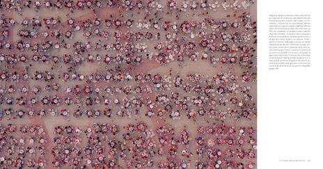 Nutrire il pianeta. Viaggio fotografico nel cibo del mondo - George Steinmetz - 8