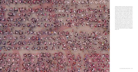 Nutrire il pianeta. Viaggio fotografico nel cibo del mondo - George Steinmetz - 8