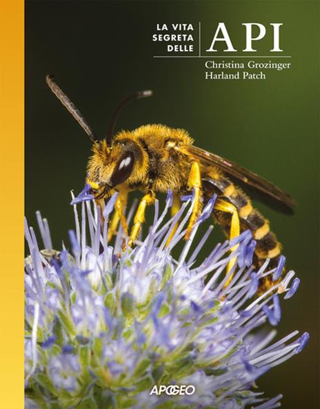 La vita segreta delle api - Christina Grozinger,Harland Patch - copertina