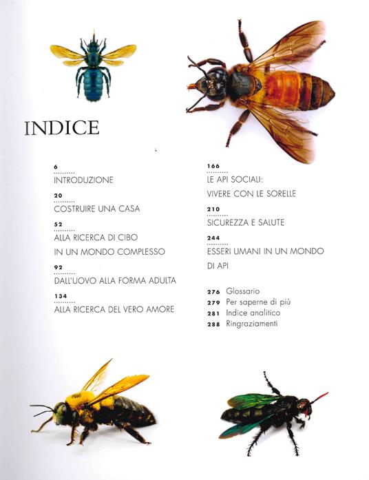 La vita segreta delle api - Christina Grozinger,Harland Patch - 2