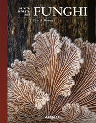 La vita segreta dei funghi