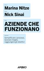 Aziende che funzionano. Semplificare i processi, lavorare meglio, raggiungere gli obiettivi