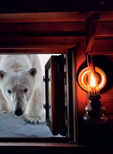 Paul Nicklen. Masterclass di fotografia - Paul Nicklen - 3