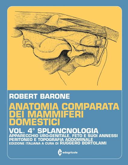 Anatomia comparata dei mammiferi domestici. Vol. 4: Splancnologia. Apparecchio uro-genitale. Feto e i suoi annessi. Peritoneo e topografia addominale - Robert Barone - copertina