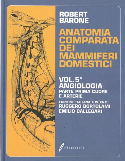 Trattato di anatomia comparata dei mammiferi domestici. Vol. 5/1: Angiologia. Cuore e arterie - Robert Barone - copertina