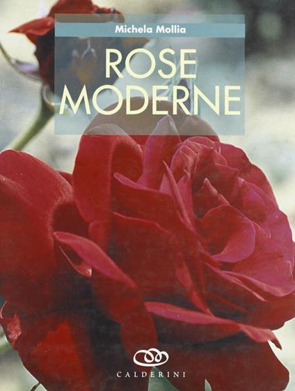 Rose moderne - Michela Mollia - copertina