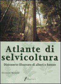 Atlante di selvicoltura. Dizionario illustrato di alberi e foreste - Giovanni Bernetti - copertina