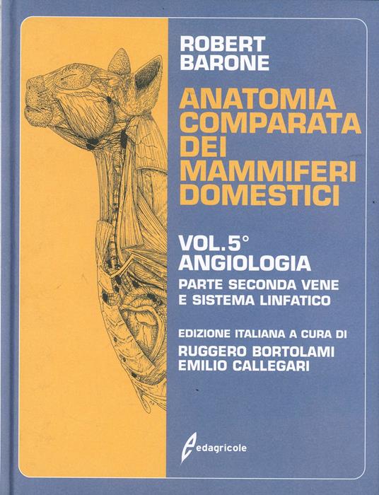Anatomia comparata dei mammiferi domestici. Vol. 5\2: Vene e sistema linfatico. - Robert Barone - copertina