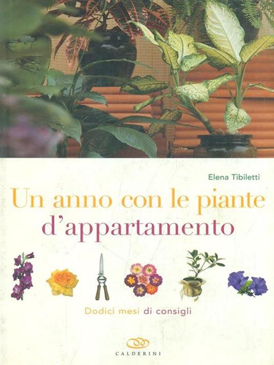 Un anno con le piante d'appartamento. Dodici mesi di consigli - Elena Tibiletti - 3