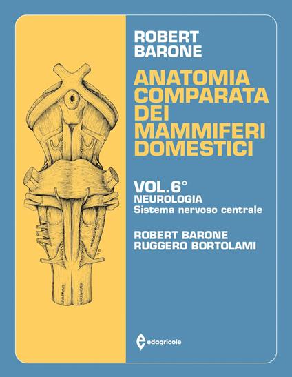 Anatomia comparata dei mammiferi domestici. Vol. 6: Neurologia (Sistema nervoso centrale) - Roberto Barone,Ruggero Bortolami - copertina