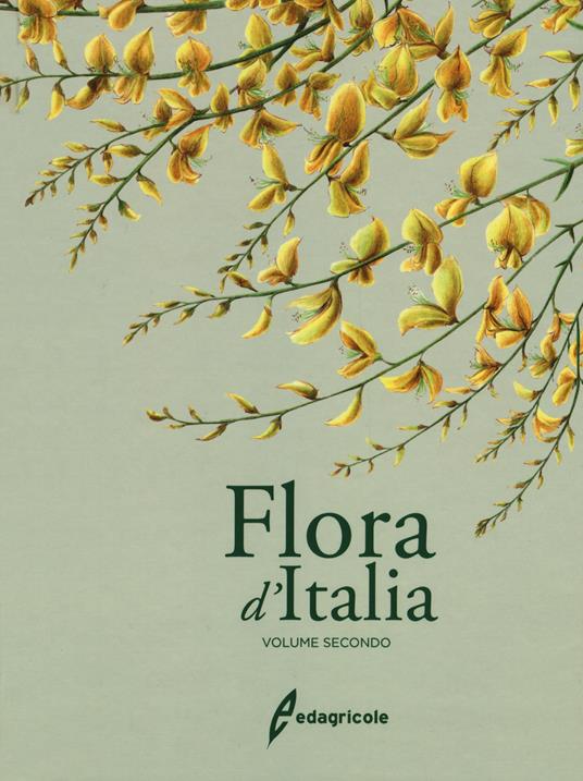 Flora d'Italia. Vol. 2 - Sandro Pignatti - copertina