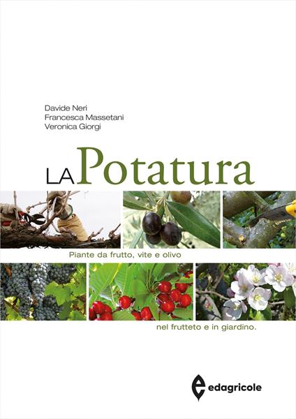 La potatura. Piante da frutto, vite e olivo. Nel frutteto e in giardino - Davide Neri,Francesca Massetani,Veronica Giorgi - copertina