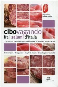 Cibovagando tra i salumi d'Italia. Le pillole del gastronauta in un viaggio alla scoperta della qualità - Davide Paolini - copertina