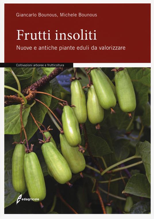 Frutti insoliti. Nuove e antiche piante eduli da valorizzare - Giancarlo Bounous,Michele Bounous - copertina