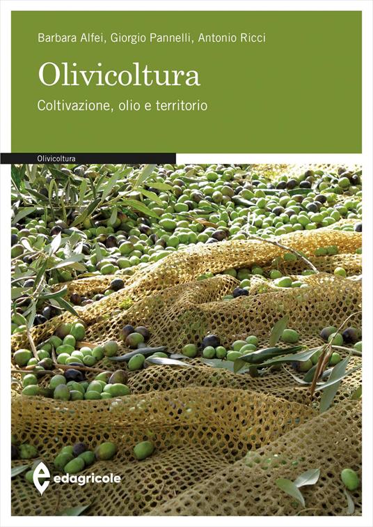 Olivicoltura. Coltivazione, olio e territorio - Barbara Alfei,Giorgio Pannelli,Antonio Ricci - copertina
