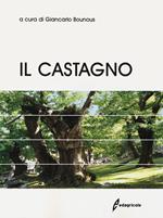Il castagno