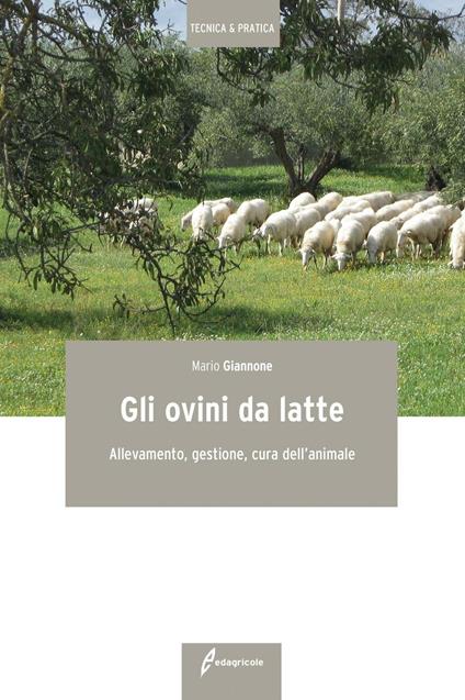 Gli ovini da latte. Allevamento, gestione, cura dell'animale - Mario Giannone - copertina