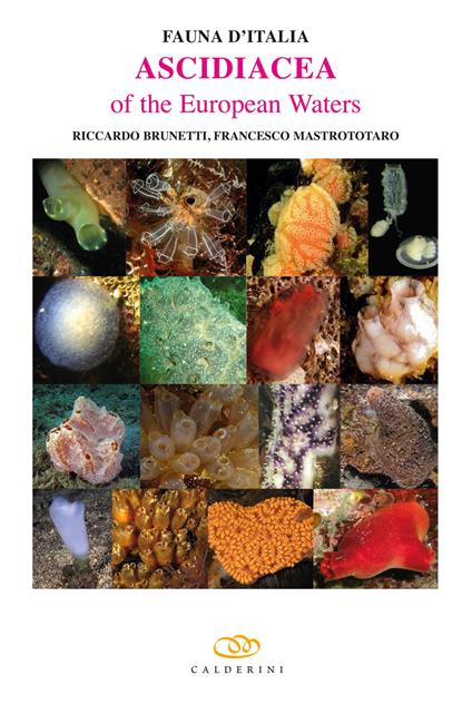 Fauna d'Italia. Ediz. illustrata. Vol. 2: Ascidiacea of the European waters - copertina