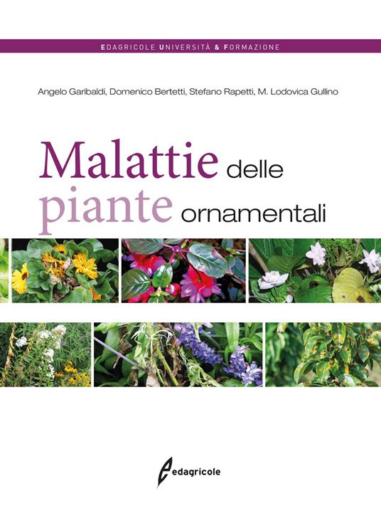 Malattie delle piante ornamentali - Angelo Garibaldi,Maria Lodovica Gullino,Domenico Bertetti - copertina