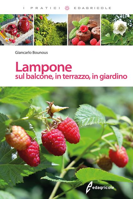 Lampone sul balcone, in terrazzo, in giardino - Giancarlo Bounous - copertina