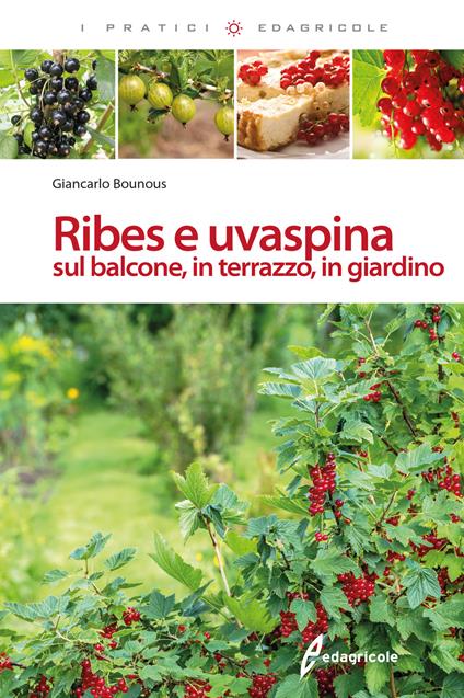 Ribes e uvaspina sul balcone, in terrazzo, in giardino - Giancarlo Bounous - copertina
