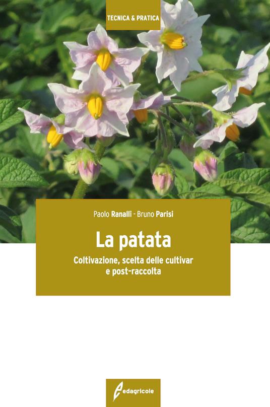 La patata. Coltivazione, scelta delle cultivar e post-raccolta - Paolo Ranalli,Bruno Parisi - copertina