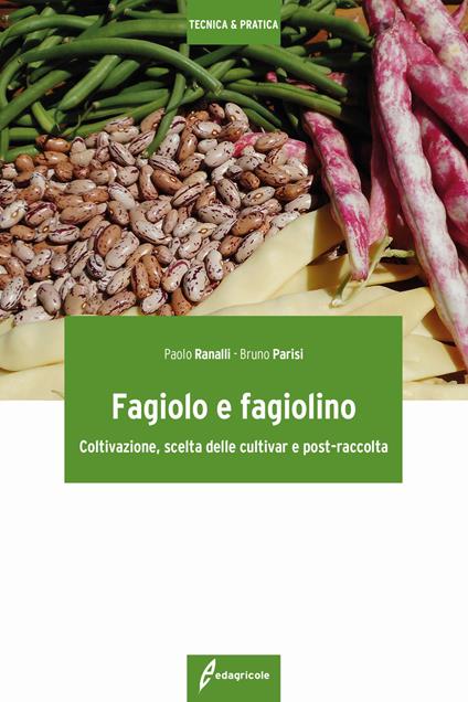 Fagiolo e fagiolino. Coltivazione, scelta delle cultivar e post-raccolta - Paolo Ranalli,Bruno Parisi - copertina