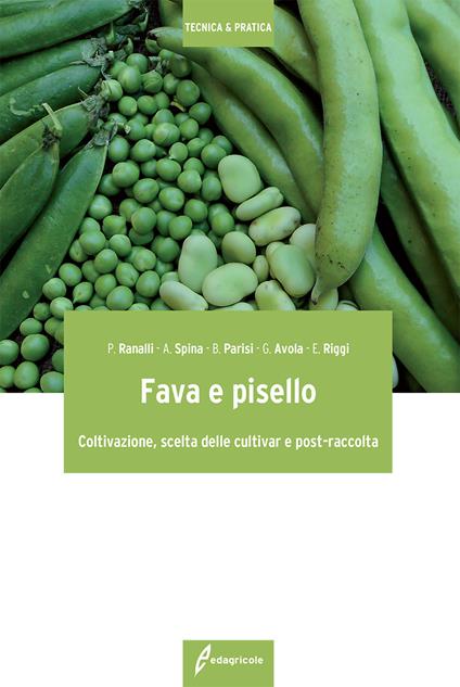 Fava e pisello. Coltivazione, scelta delle cultivar e post-raccolta - Paolo Ranalli,Alfio Spina,Bruno Parisi - copertina