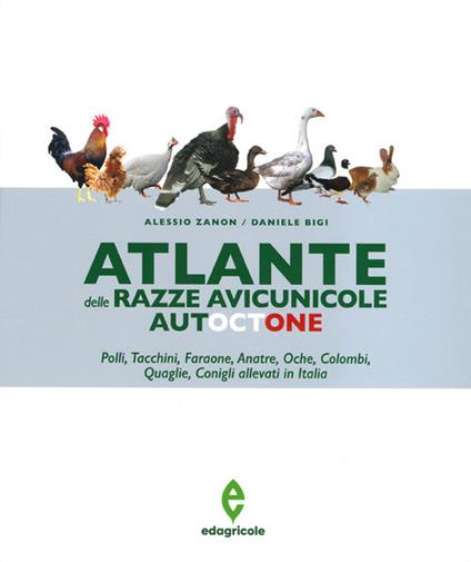 Atlante delle razze avicunicole autoctone. Polli, tacchini, faraone, anatre, oche, colombi, quaglie, conigli allevati in Italia - Alessio Zanon,Daniele Bigi - copertina
