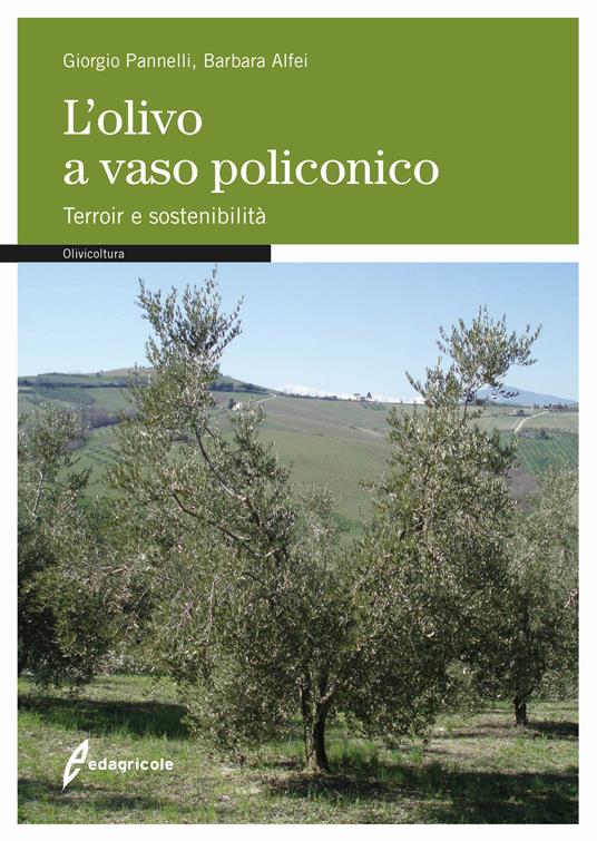 L'olivo a vaso policonico. Terroir e sostenibilità - Giorgio Pannelli,Barbara Alfei - copertina