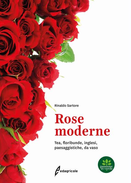 Rose moderne. Tea, floribunde, inglesi, paesaggistiche, da vaso - Rinaldo Sartore - copertina