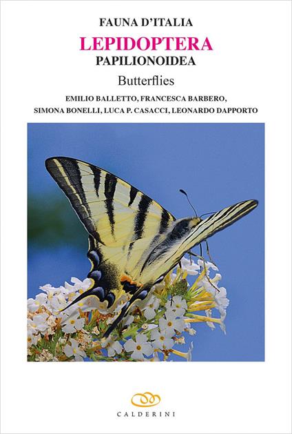 Lepidoptera Papilionoidea butterflies. Ediz. illustrata - Emilio Balletto,Francesca Barbero,Simona Bonelli - copertina