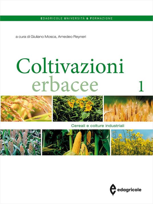 Coltivazioni erbacee. Vol. 1: Cereali e colture industriali - copertina