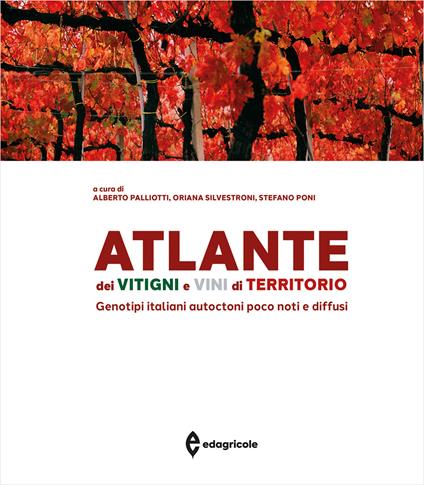 Atlante dei vitigni e vini di territorio. Genotipi italiani autoctoni poco noti e diffusi - copertina