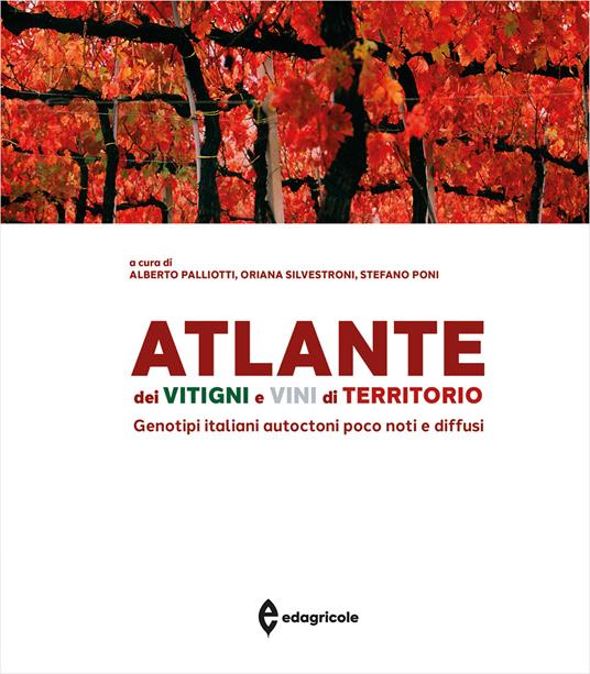 Atlante dei vitigni e vini di territorio. Genotipi italiani autoctoni poco noti e diffusi - copertina