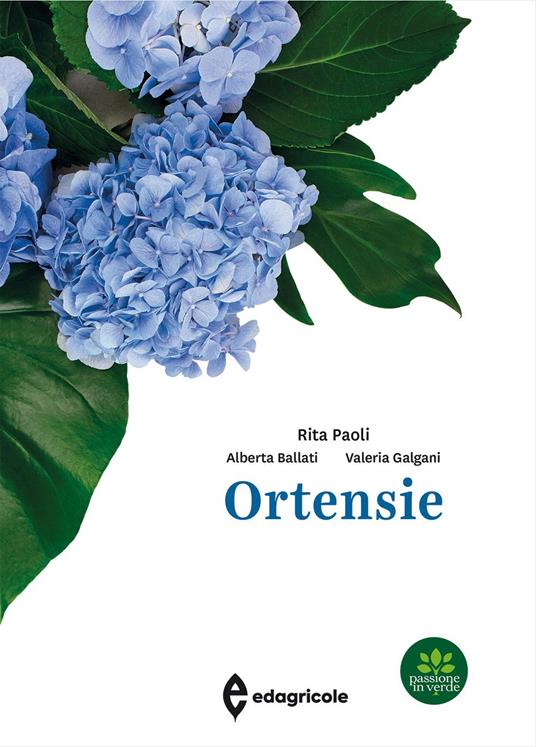 Ortensie - Rita Paoli,Alberta Ballati,Valeria Galgani - copertina