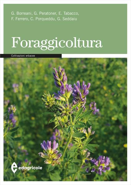 Foraggicoltura - Giorgio Borreani,Giovanni Peratoner,Ernesto Tabacco - copertina